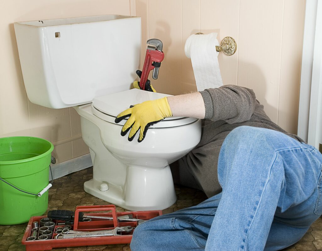 Toilet Repair